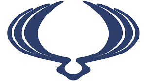 Ssang Yong autoradio