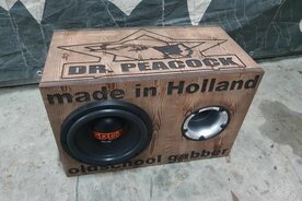 DR.PEACOCK prijs is inc subwoofer
