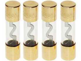 AGU zekering 10 Ampere (zilver) 4 stuks in blister AGU zekering 10 Ampere (zilver) 4 stuks in blister