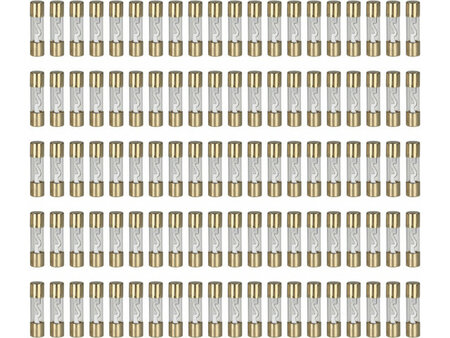 AGU zekeringen 10 amp&egrave;re (zilver) 100 stuks los AGU zekeringen 10 amp&egrave;re (zilver) 100 stuks los