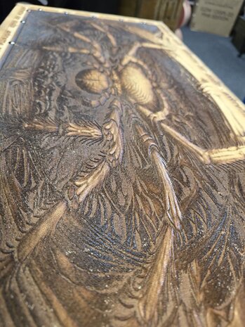 spinnen kist 1x12 inch