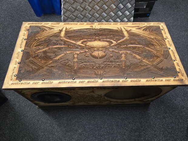spinnen kist 1x12 inch