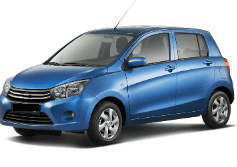 celerio celerio