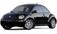 beetle