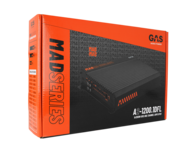 GAS MAD Level 2 Two Channel amplifier