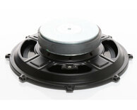 AUDIO SYSTEM 250mm speciale flat woofer 2 Ohm 250/180 Watt (1 stuk)