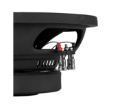 DLS 10"/250mm 2+2 Ohm Subwoofer