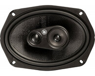 DLS 6x9"/156x236mm Coaxiale luidspreker M369