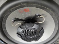 pulse5-v0