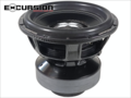 EXCURSION RXD.v2 12 D1 COMP - 8000 RMS / 25000 Watt