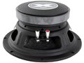 EXCURSION XXX M10 - 25cm DIN Pro Audio Midrange Set