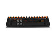 GAS MAD Level 1 Mono amplifier